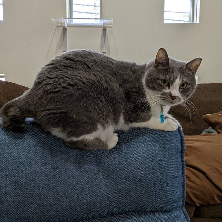 2a860288 11fd 4b5b 8d69 9ccecee0367c 1743401982881