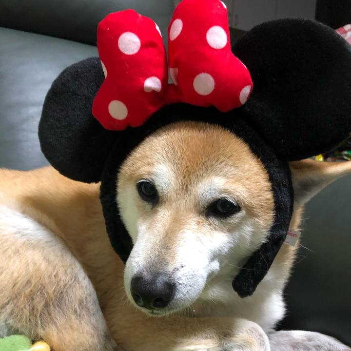 2a861360 7543 41b1 a625 e81ad2b5013b 1575727176956