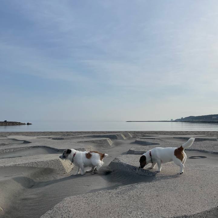 2a862994 5542 421c 9d52 e8707bfd8a58 1712532175084