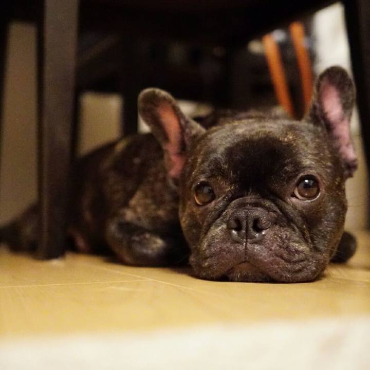 2a866972 59f3 4cb0 804a 17fe408690e9 1533127558867