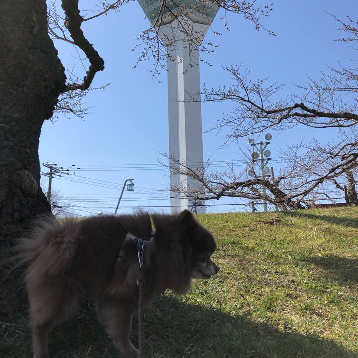 2a866fe9 4f69 432c aec7 7b8b51321196 1618202642799