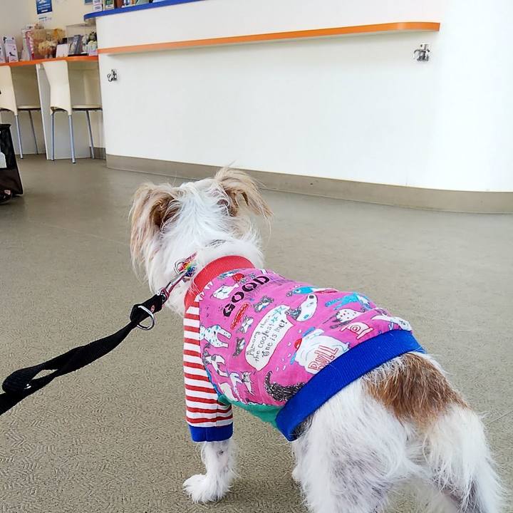 2a86744a b3f6 422f 9798 76fb454c848a 1533992067856