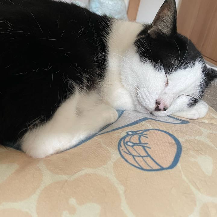 2a871395 bae0 4e96 95e1 b81fb379b802 1720903519104