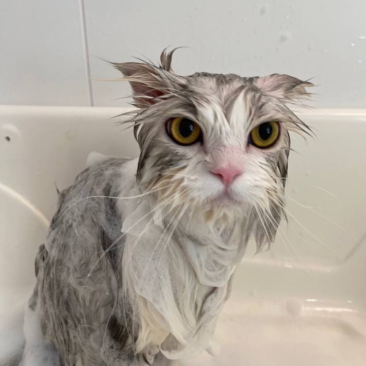 2a871c8f 347d 4d50 88ae 95e7048aada5 1668948824172