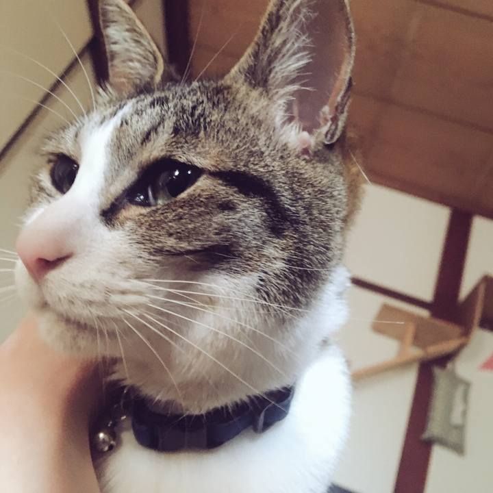 2a879132 f8f3 4978 9c15 43346510eda8 1525047516761