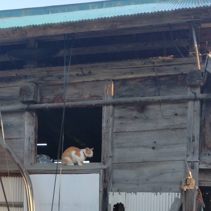 2a87a9ae 5f15 48e3 b4c8 471b27b4d687 1756371876220