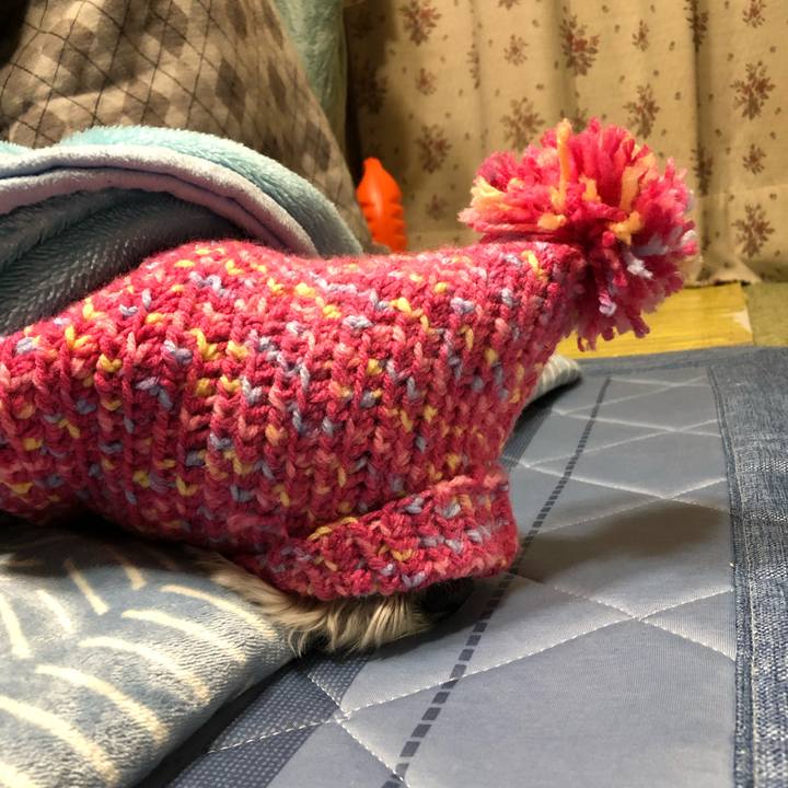 2a87b200 5f1b 4b05 b9dd c7ba163fffae 1674914513233