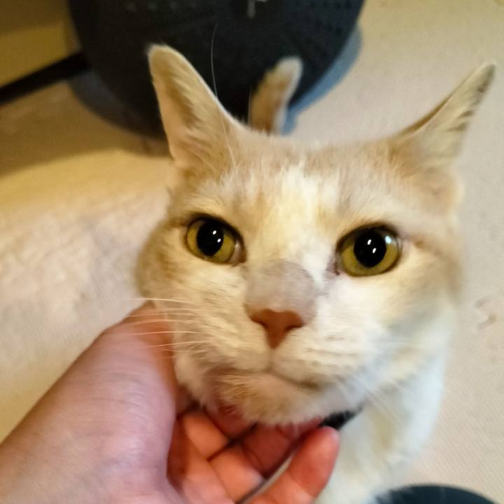 2a87c3c3 1bb5 4aa6 82ad 393aa1adda10 1665355521625