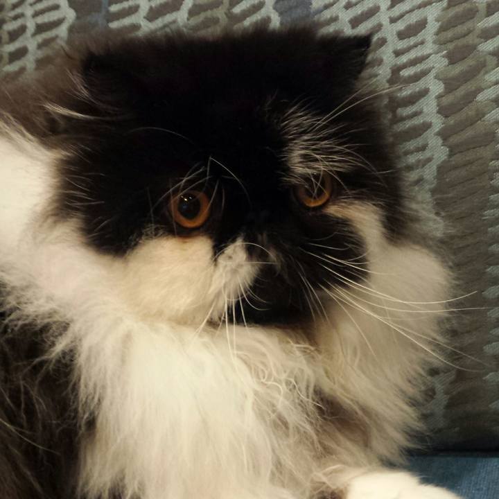 2a87dd5b f0ef 4d31 928a edb71ed205d1 1518524851695