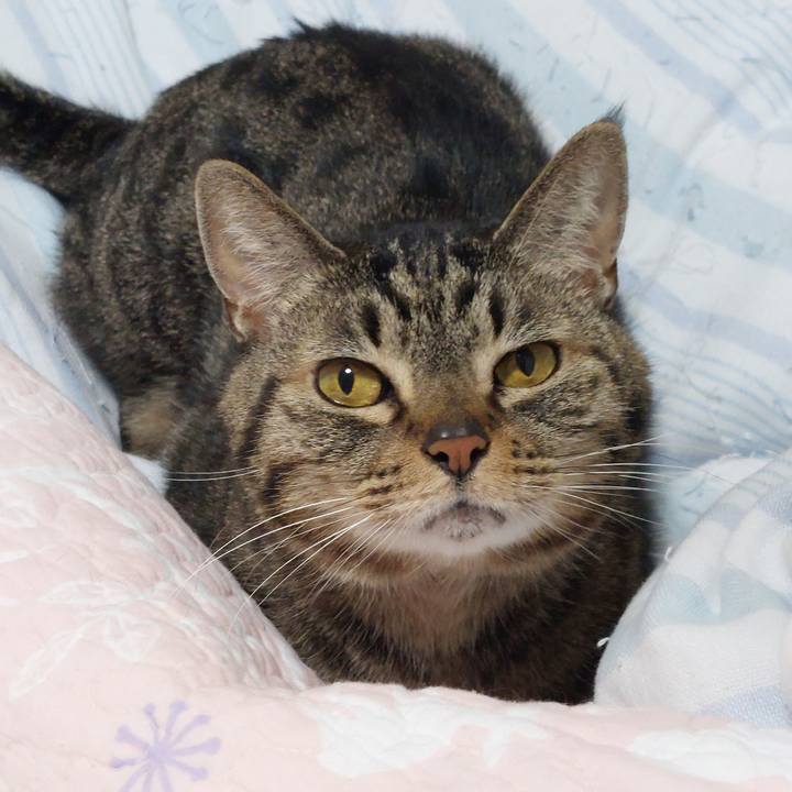 2a880acd 09e5 4aa6 a266 11a71d97bea4 1640316806282