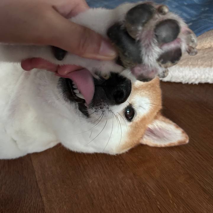 2a881080 fbbc 4819 9481 430f34c508bd 1726278373555