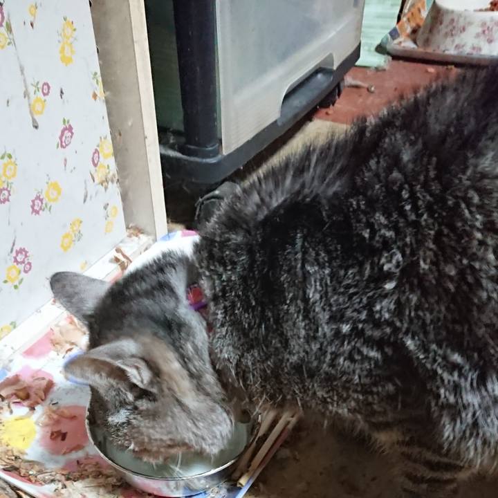 2a882455 c15f 4d97 8585 606edffefc40 1580720552406