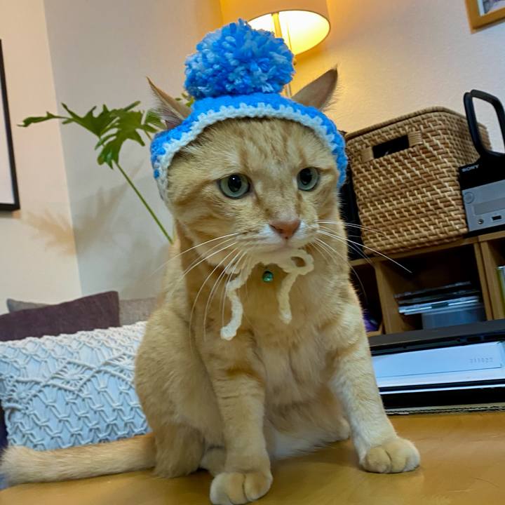 2a882995 ea99 4991 bb8a eefc624325ed 1660907516090