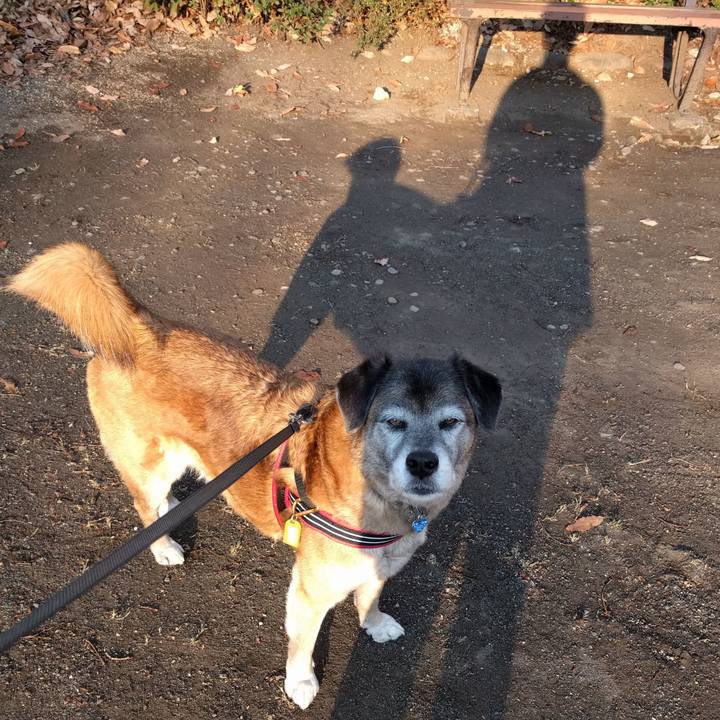 2a882e91 d6c1 4100 892a 1c425e8e692d 1552605708681