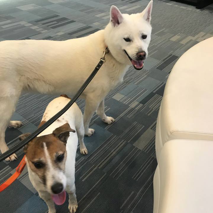 2a885a34 9bfc 447f b447 b464ae075815 1523780002805