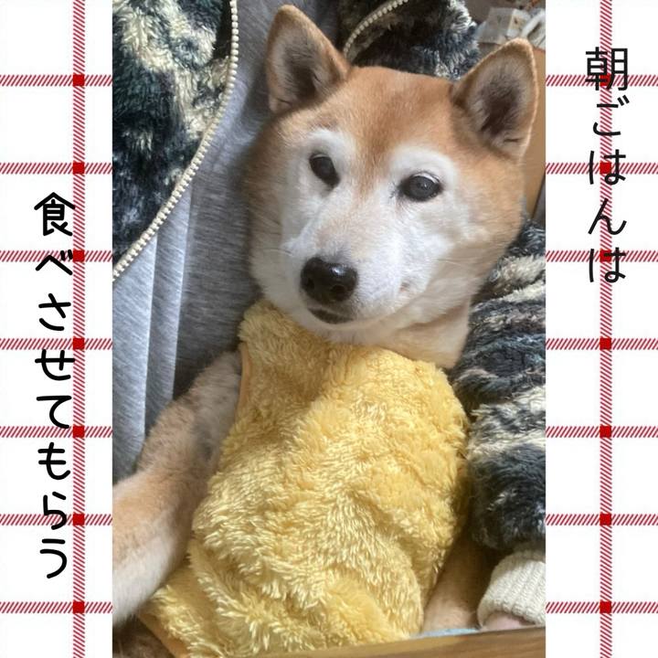 2a8868ab 57ea 449b 97af 3ad08edfb94a 1774570960768