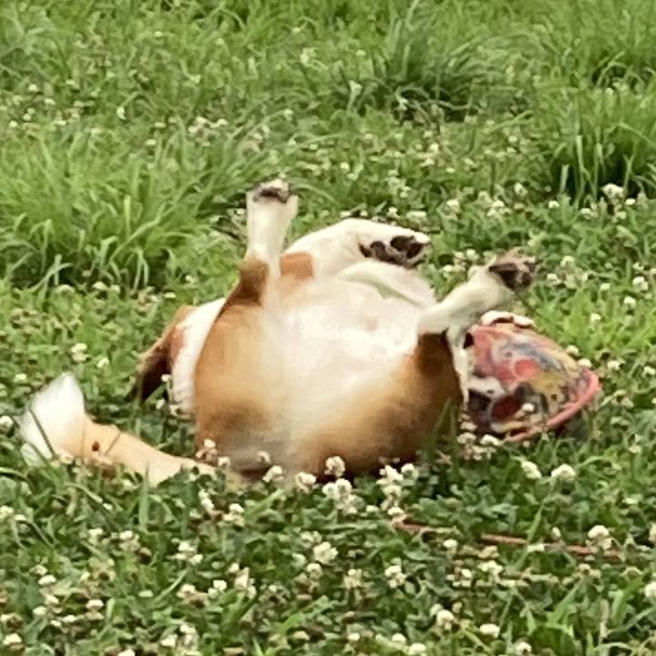 2a886a26 3bc8 4363 9db6 4b2380cac978 1752710300717