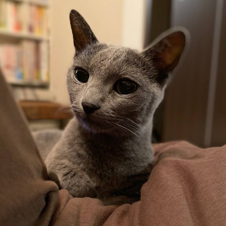 2a888305 8c28 4455 8dc8 eb9f297436ea 1578886162355