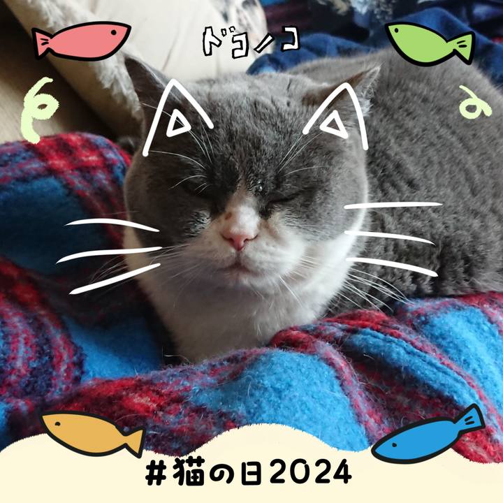 2a88ce26 6f75 4566 ae53 abc63a3c15ae 1708560348739