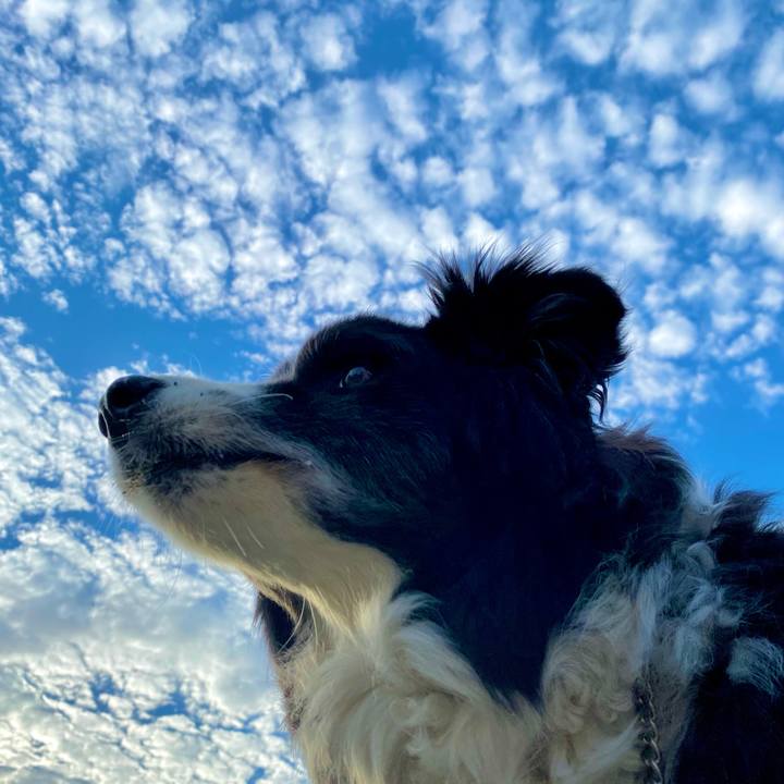 2a88d8c0 ae89 45b7 9785 d2999fa98e9c 1749301339706