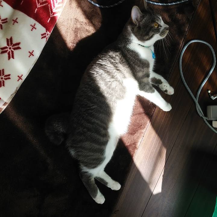 2a88f54d ba98 4a84 8e3d b393ae2b87a8 1583224358690