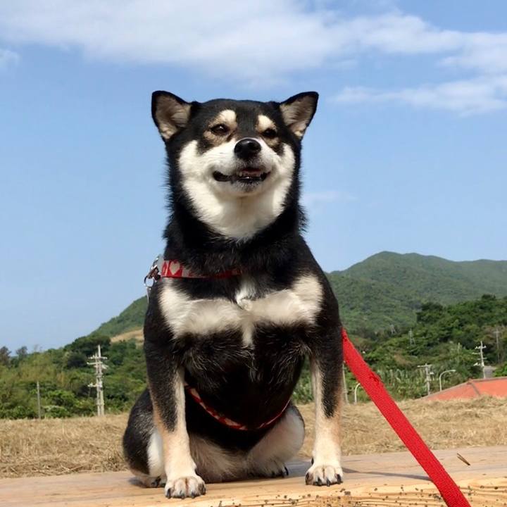 2a893336 610c 4576 ba65 486570a9472e 1521940479693