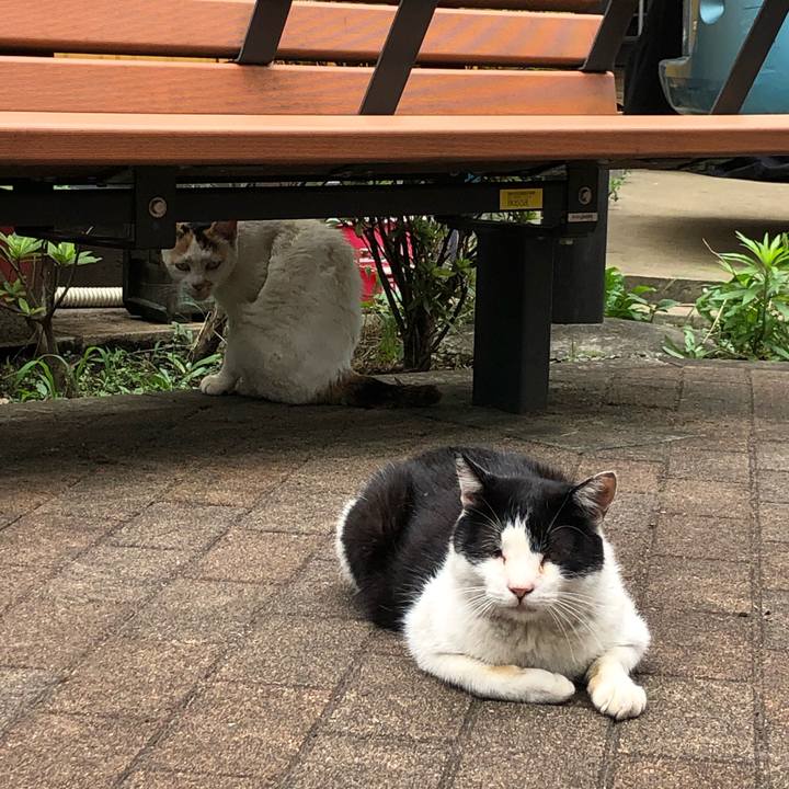 2a893a41 f6dd 44e6 94d4 dabb2f129be8 1626242048065