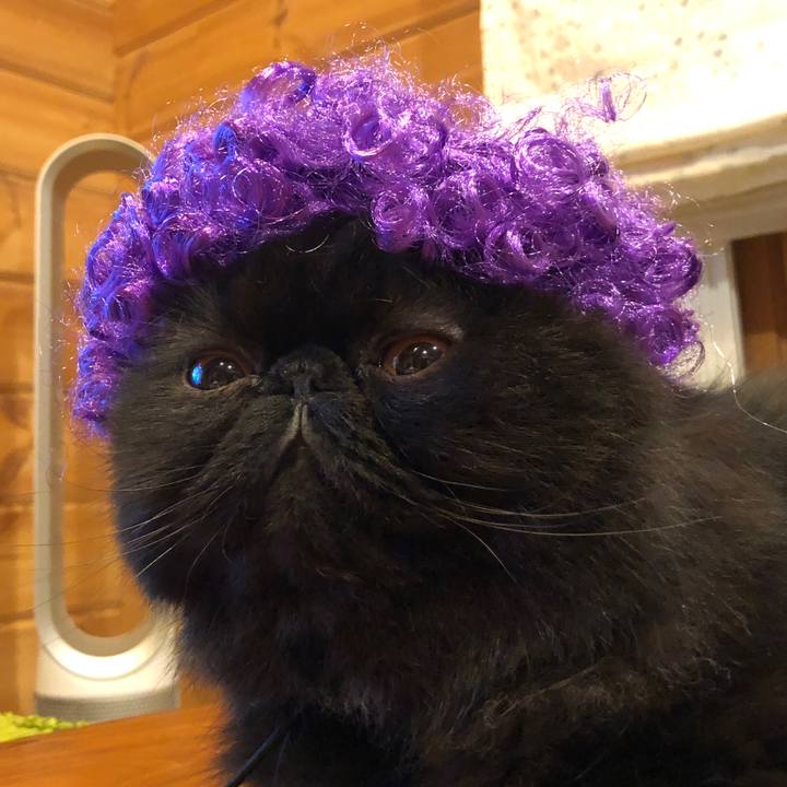 2a89e7ca b6c2 439f bfce 0ea94d7a1c44 1572516807072