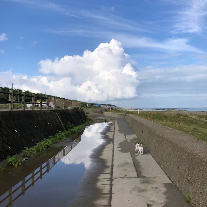 2a89ef00 0324 4ce0 9646 80c010d91df6 1594594564851