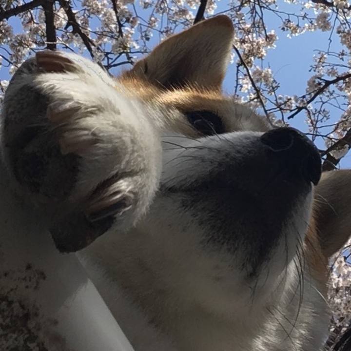 2a89fbe7 265b 47e1 8a38 204456cf16ad 1585194885956