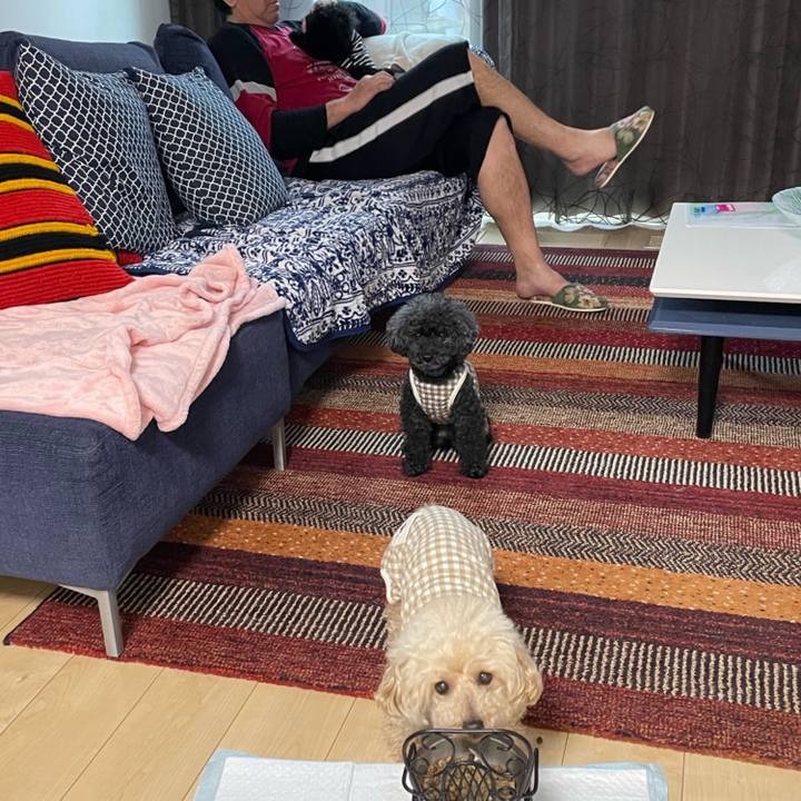 2a8a0876 e15f 446c 9fed b540cb3ea40a 1680736926213