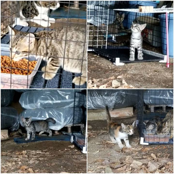 2a8a1029 b7aa 43a8 9f9d cc11b8b17fe0 1691240971593