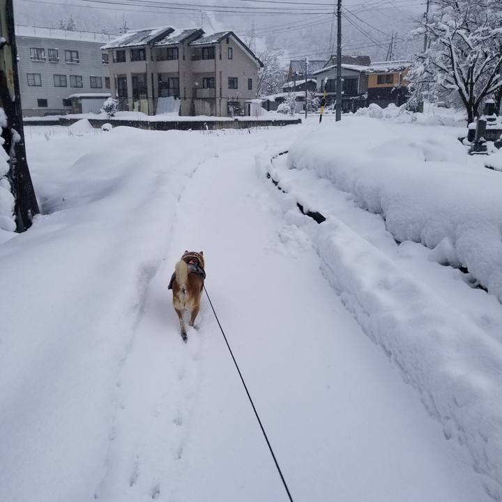 2a8a1a29 cbf7 44a7 9e77 8aaf4b64f967 1734843107327