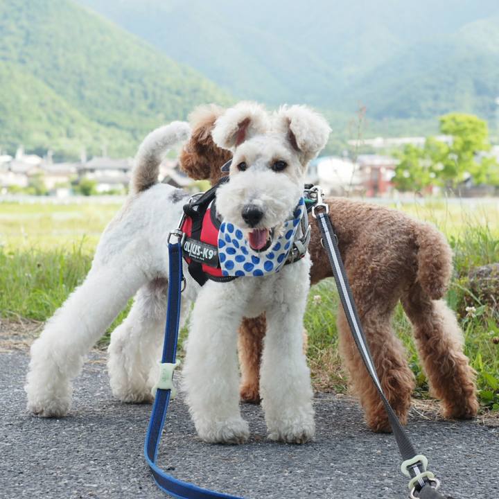 2a8a7f29 f26c 44b8 90a8 4753299c3d25 1529408826150