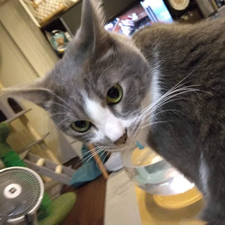 2a8a9340 ed6e 454c aecf 5cdabe6b6e6b 1670240329199