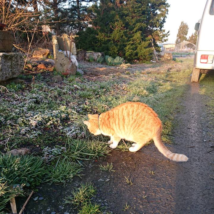 2a8ad005 e2a8 4b32 a882 60793028d40c 1585602099299