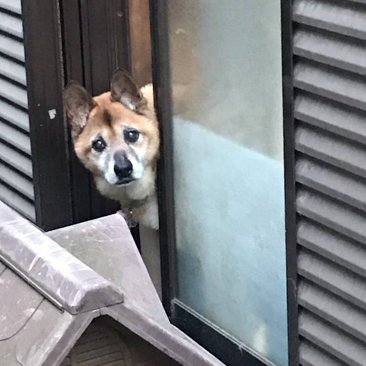 2a8b26bf 5078 43c1 9dff ac57daa23941 1557914498657