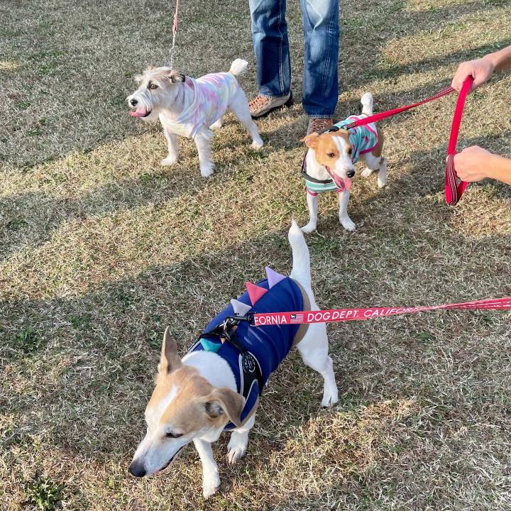 2a8b866e c060 4d16 896c 4ffddcedf88c 1668256691785