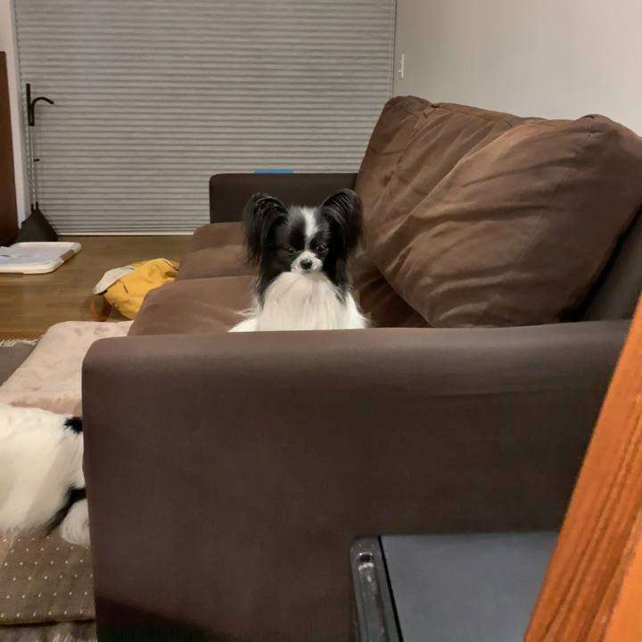 2a8bb93c 3a82 49f6 a01a e955131ed415 1558353234831