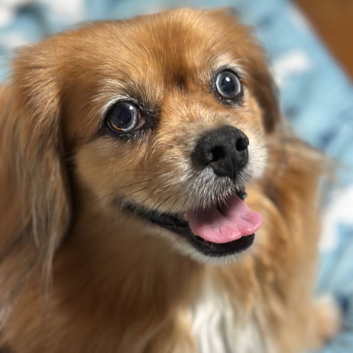 2a8bcc69 2f45 461e 8528 6a802cd4ffec 1754696038873