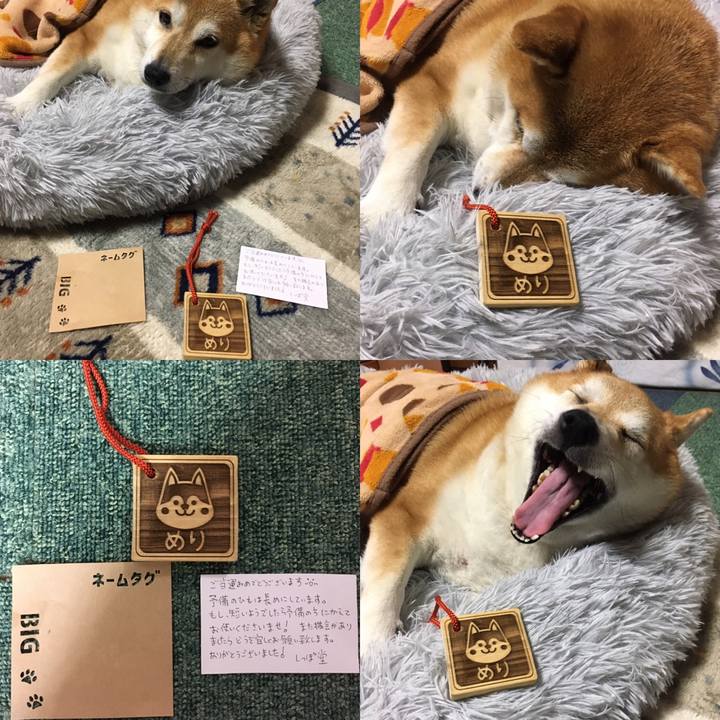 2a8c2f07 fded 4d59 8867 0846127ee4ca 1637221559282