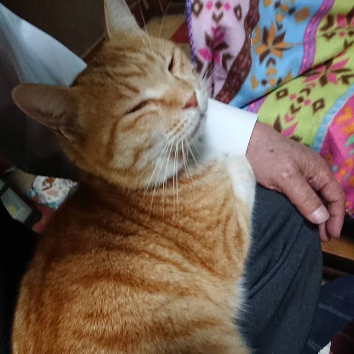 2a8c3a8e 150e 498d 890a 75d97d6d2b1d 1585129684102