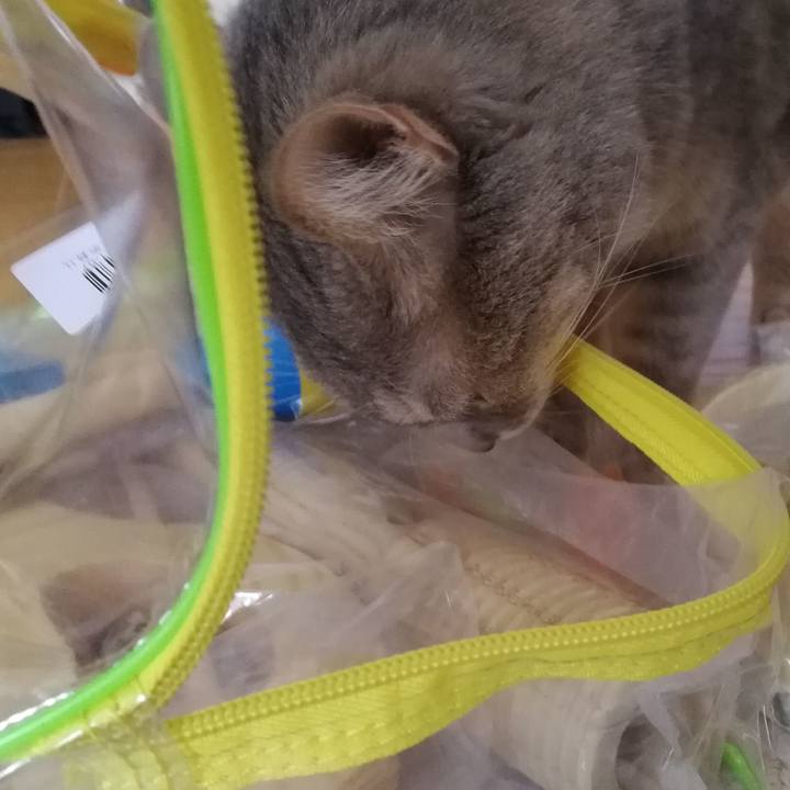 2a8c4105 1a91 438f b5a3 1c6aed898c20 1540730930732