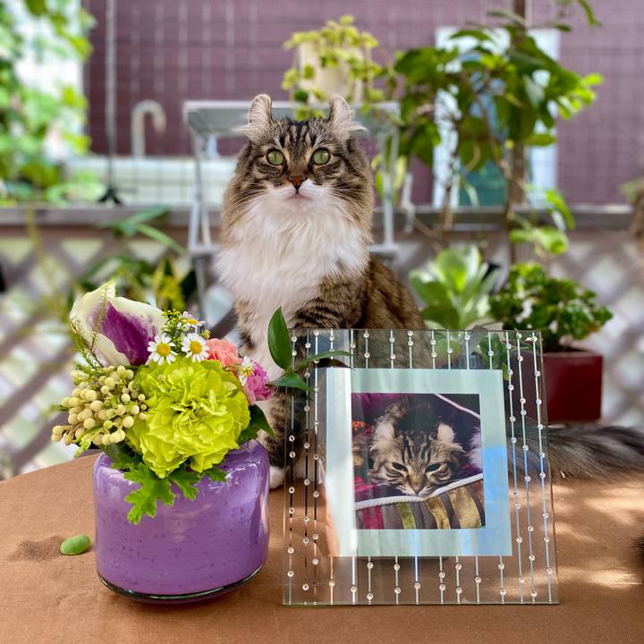 2a8c9394 dcd8 42ca aa88 74db66fd29ae 1632662139230