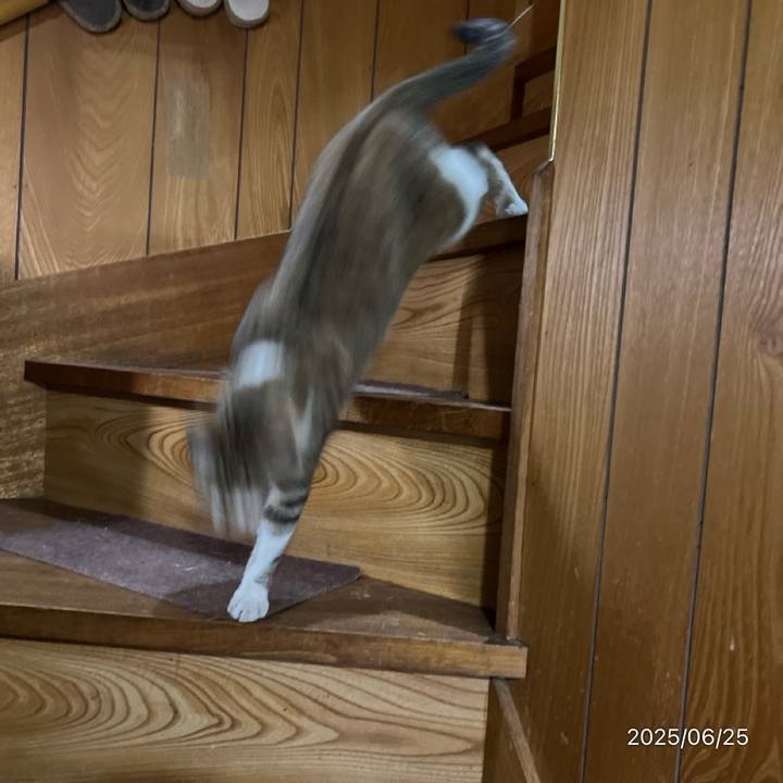 2a8cc547 b9b7 470e a8e2 8e8f62fdd867 1750801995976