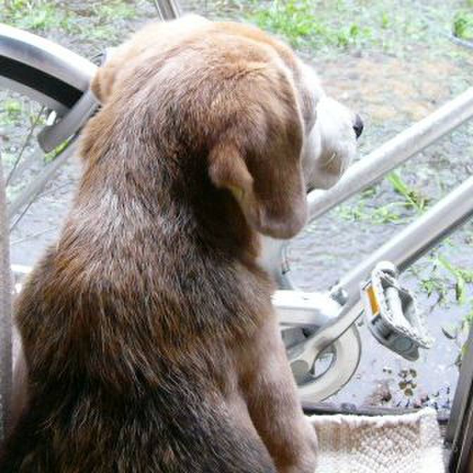 2a8cc98b ad1a 488d 8a3f bbaf278ff722 1667177348123