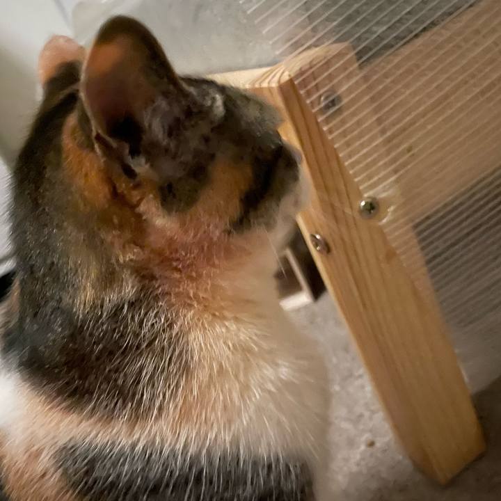 2a8ce88c 94bb 4870 a4e4 81708e448596 1712241766091