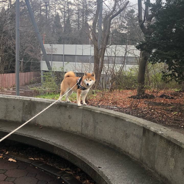 2a8d1cb7 13a4 40d9 b7f5 6ca72a47e9c8 1543884667652