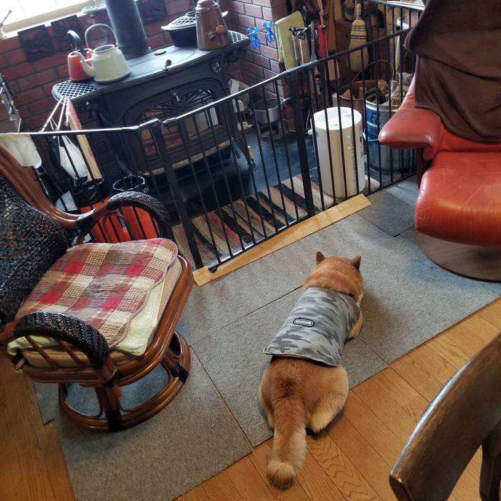 2a8d1e17 9b52 46a0 b40c 181d147750dd 1644621591541