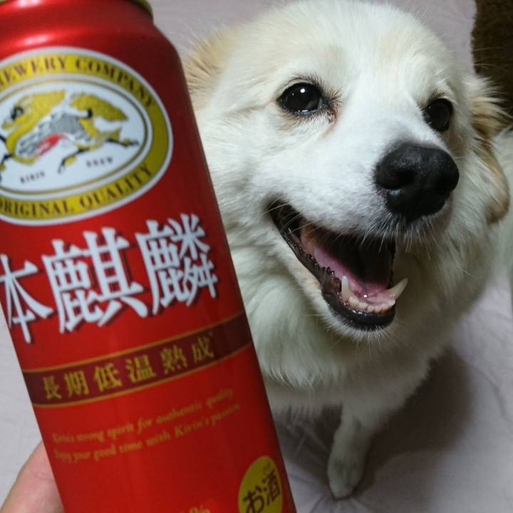 2a8d30cf 3a98 4b45 ad18 f85edf934798 1536062727936